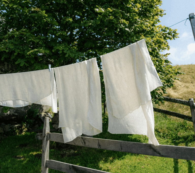 The Surprising History of Soap