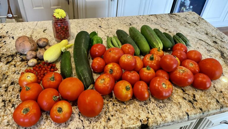 10 Best Crops to Grow If You Actually Want to Feed Your Family and WHY