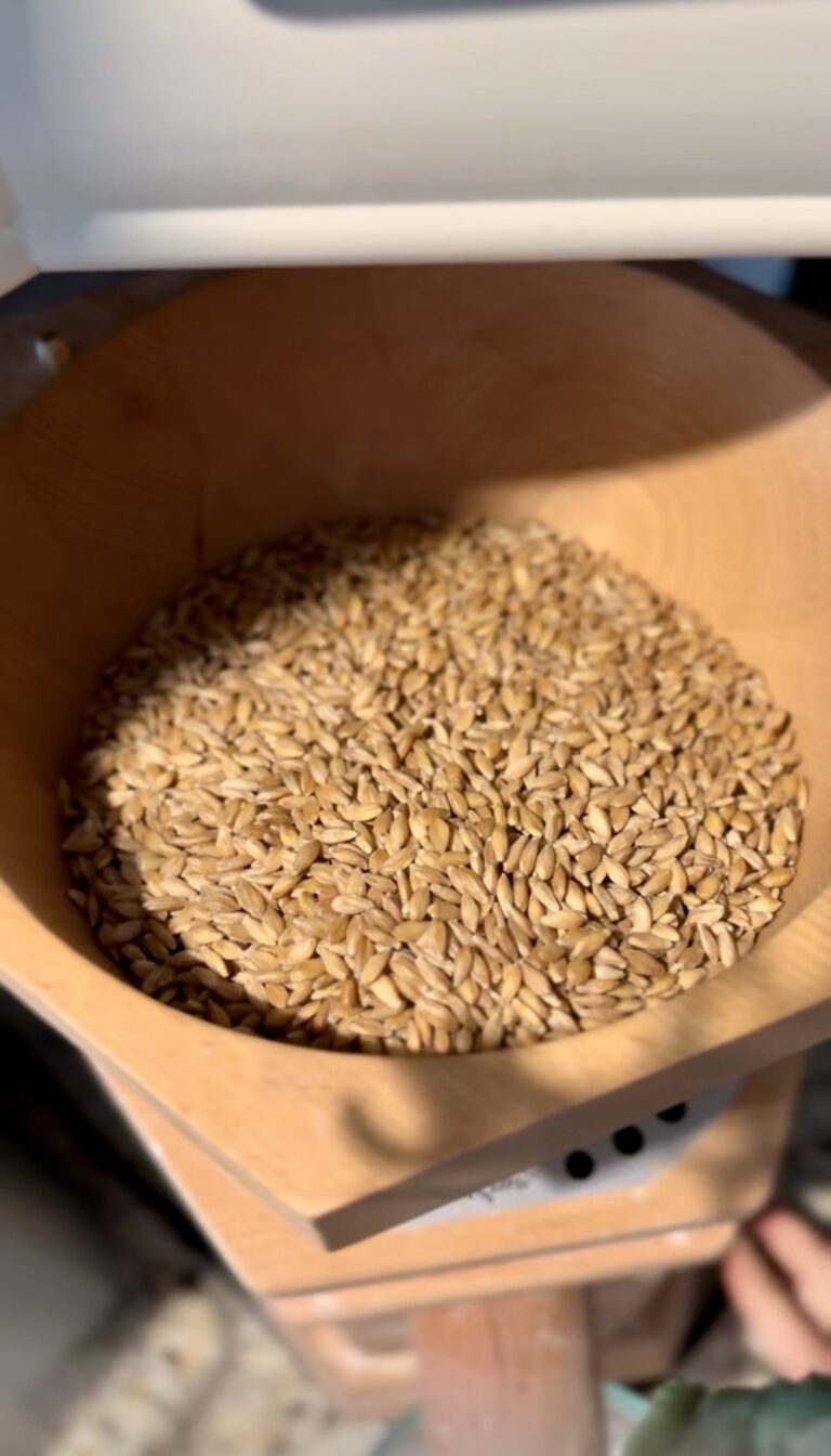 Crash Course: Everything You Need to Know to Begin with Freshly Milled Flour