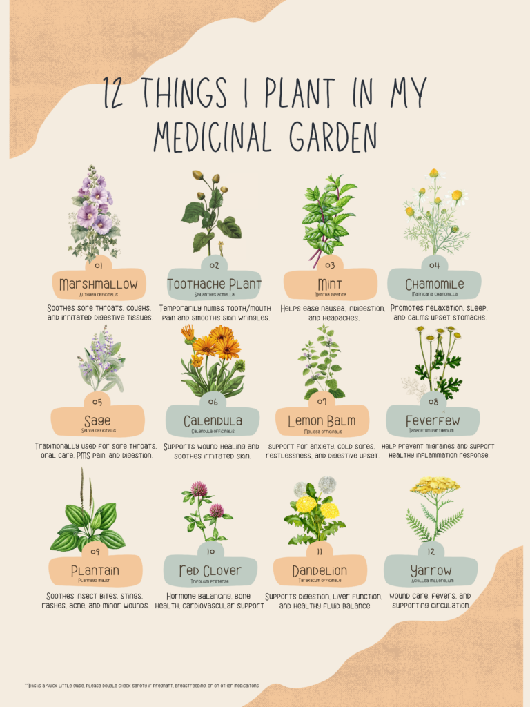 12 Things I Grow in My Medicinal Garden